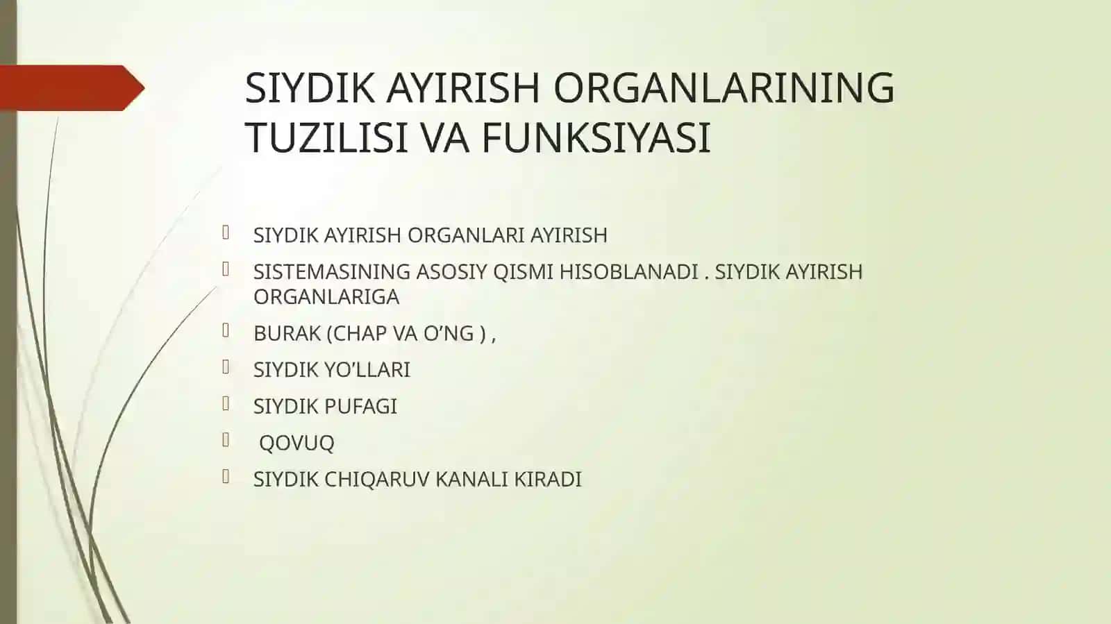 siydik ayirish aʼzolarining rivojlanish nuqsonlari 2