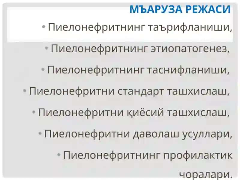 Пиелонефрит 2