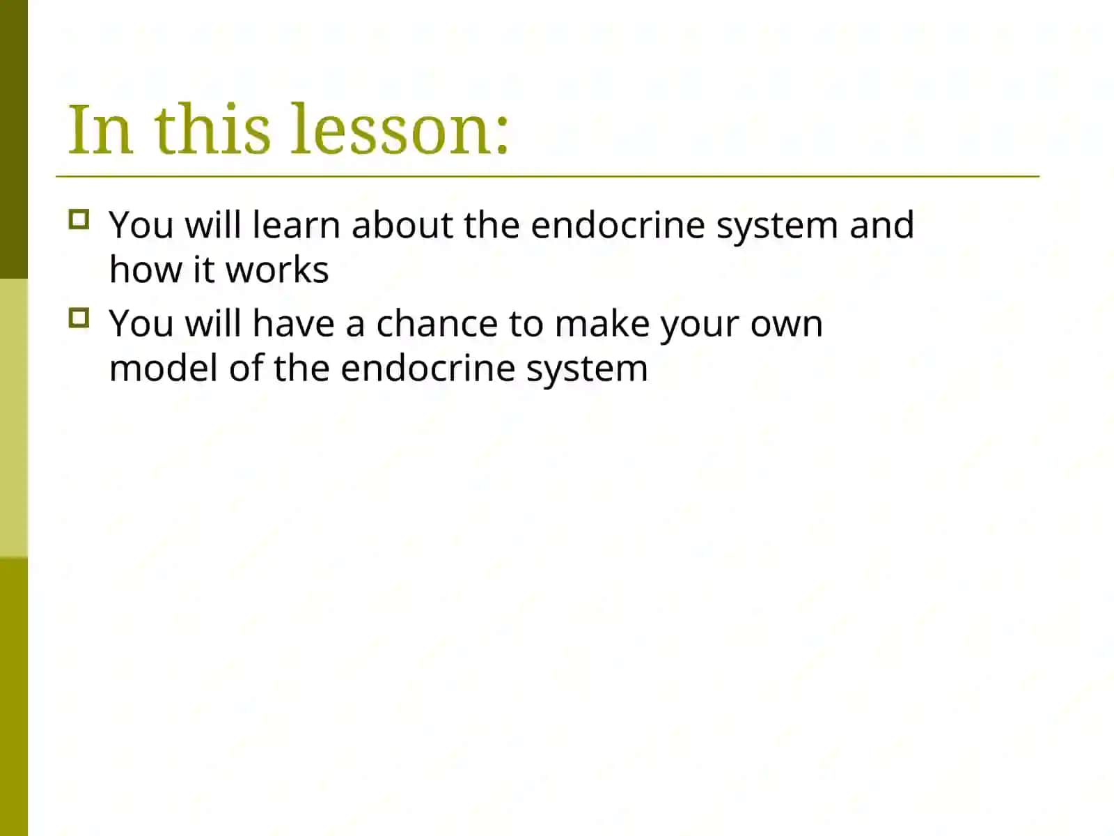The Endocrine System 2