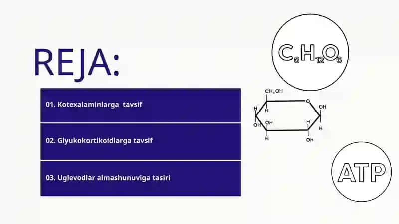 Katexolaminlar va Glyukokortikoidlarning Uglevodlar Almashunuviga Tasiri 2