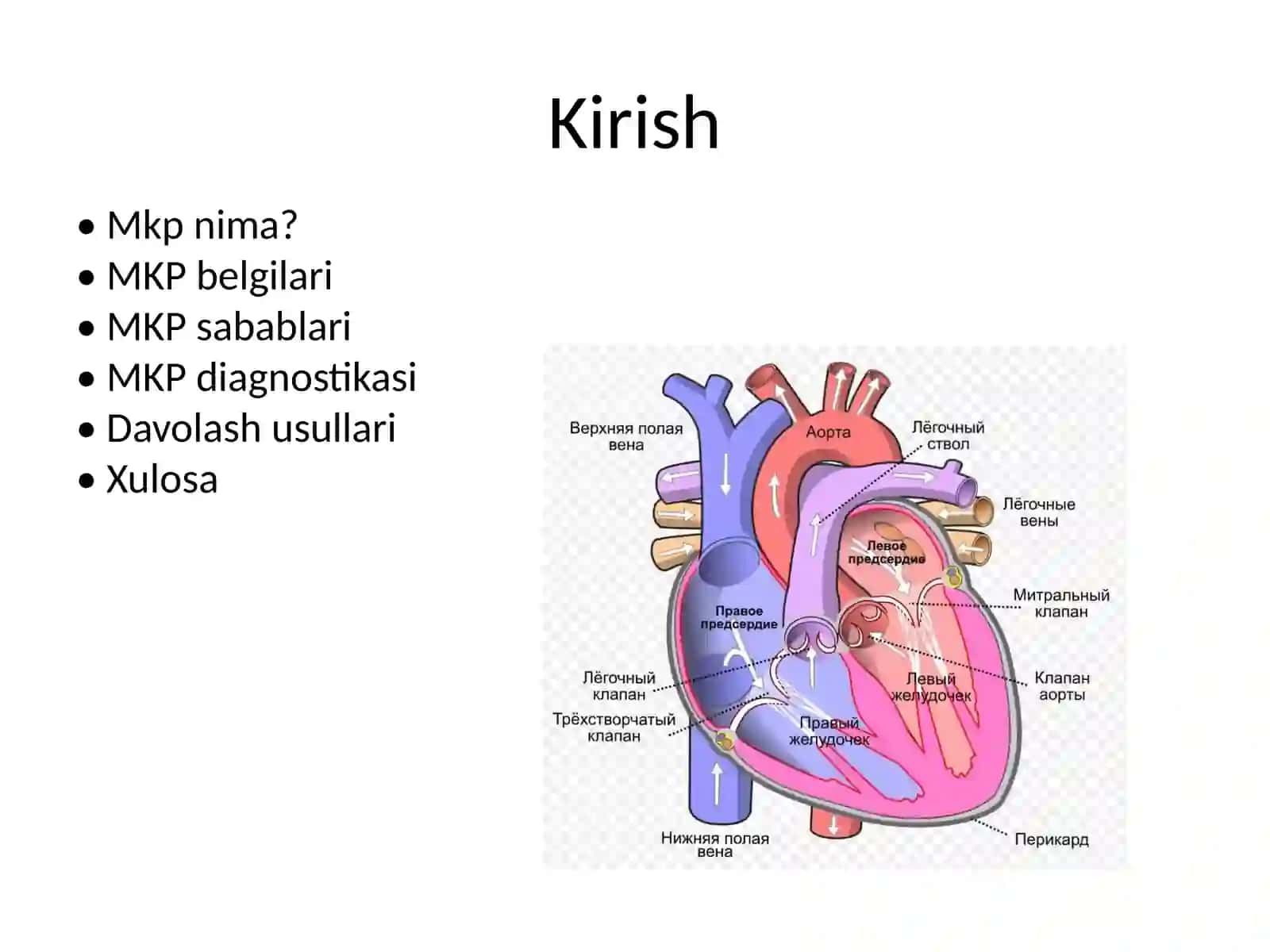 MITRAL KLAPAN PROLAPSI 2
