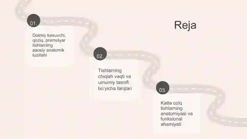 tishlarning xususiy anatomiyasi 2