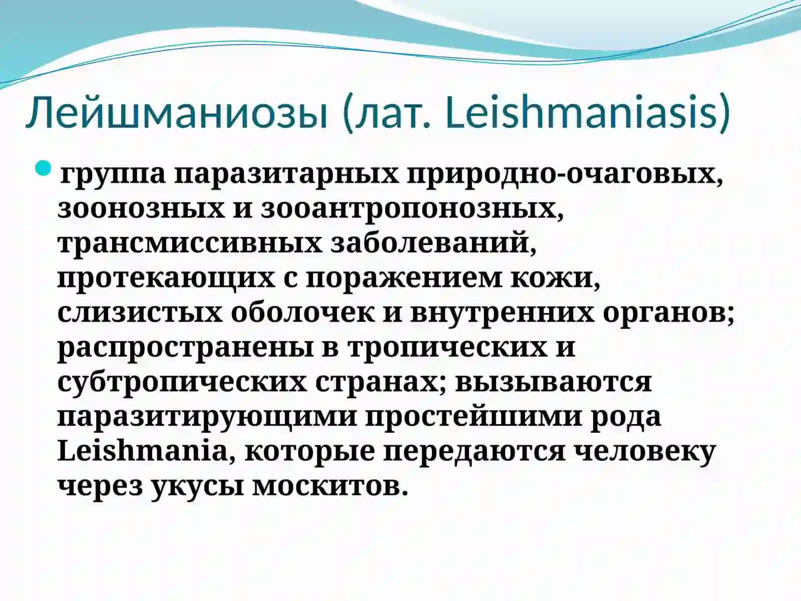 Лейшманиозы 2