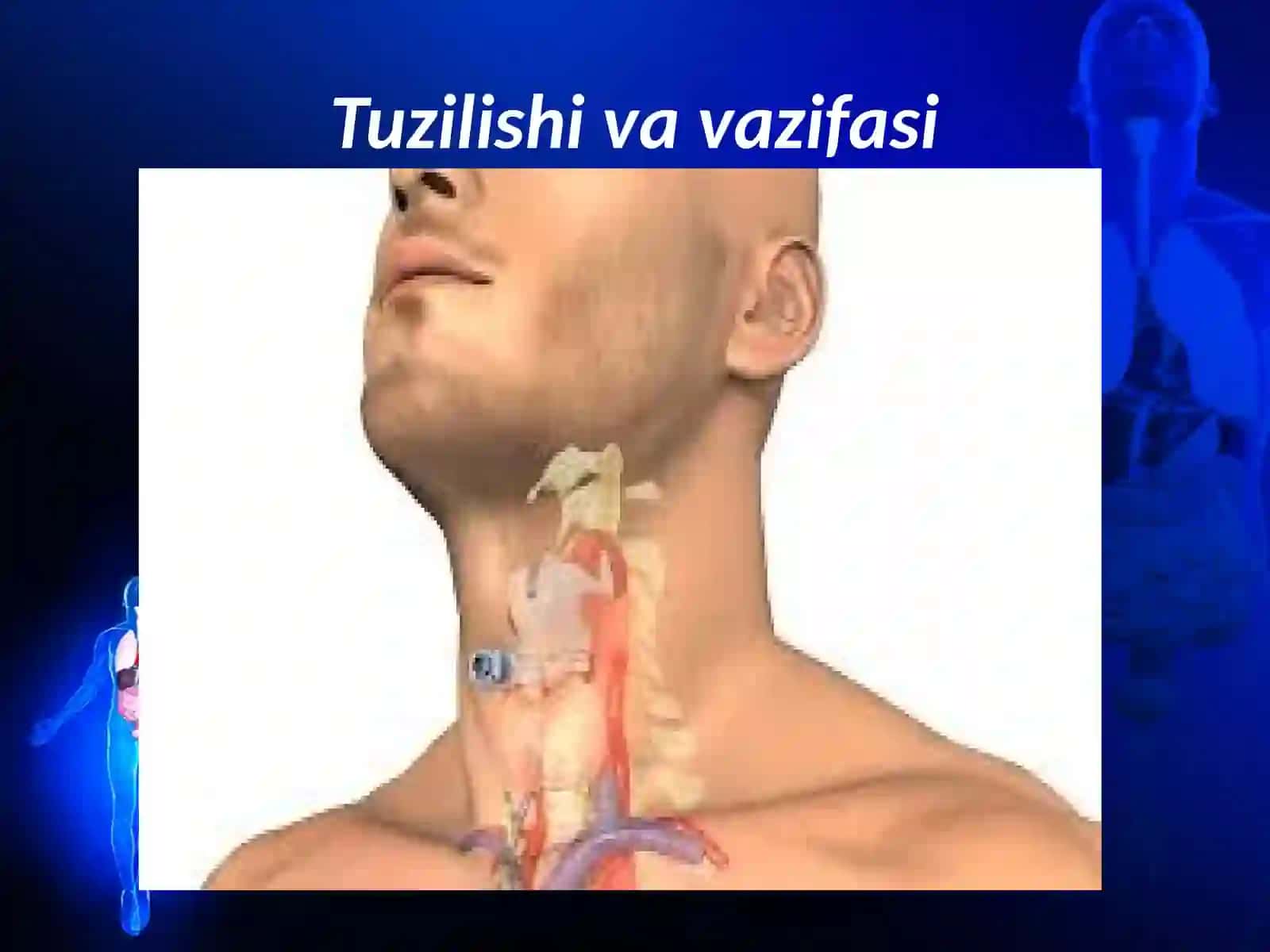 Ovoz apparati 2