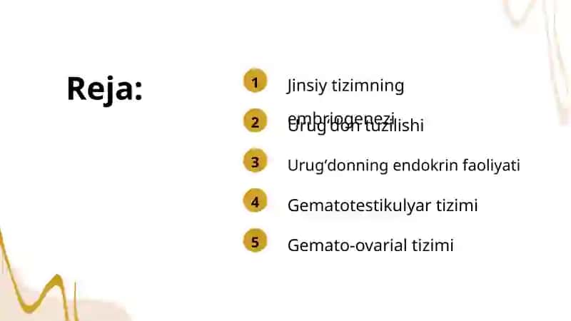 Gistologiya: Jinsiy tizimning embriogenezi 2