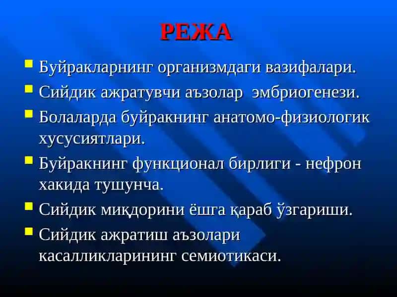 АЙИРУВ ОРГАНЛАРИ АНАТОМО- ФИЗИОЛОГИК ХУСУСИЯТЛАРИ 2