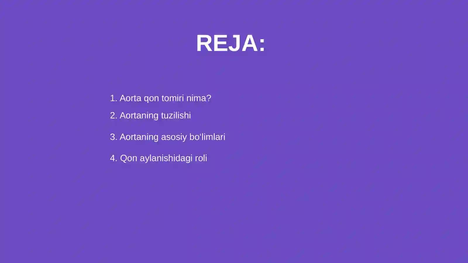 Aorta qon tomiri 2