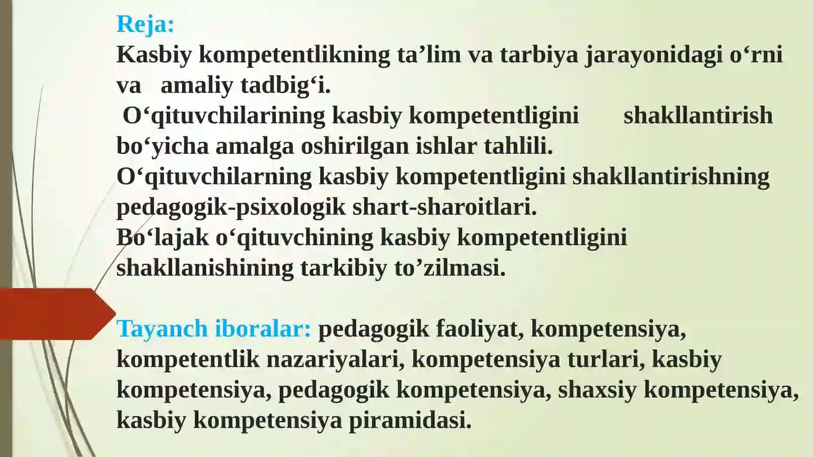 O‘qituvchining kasbiy kompetentsiyaning mazmuni va tuzilishi 2