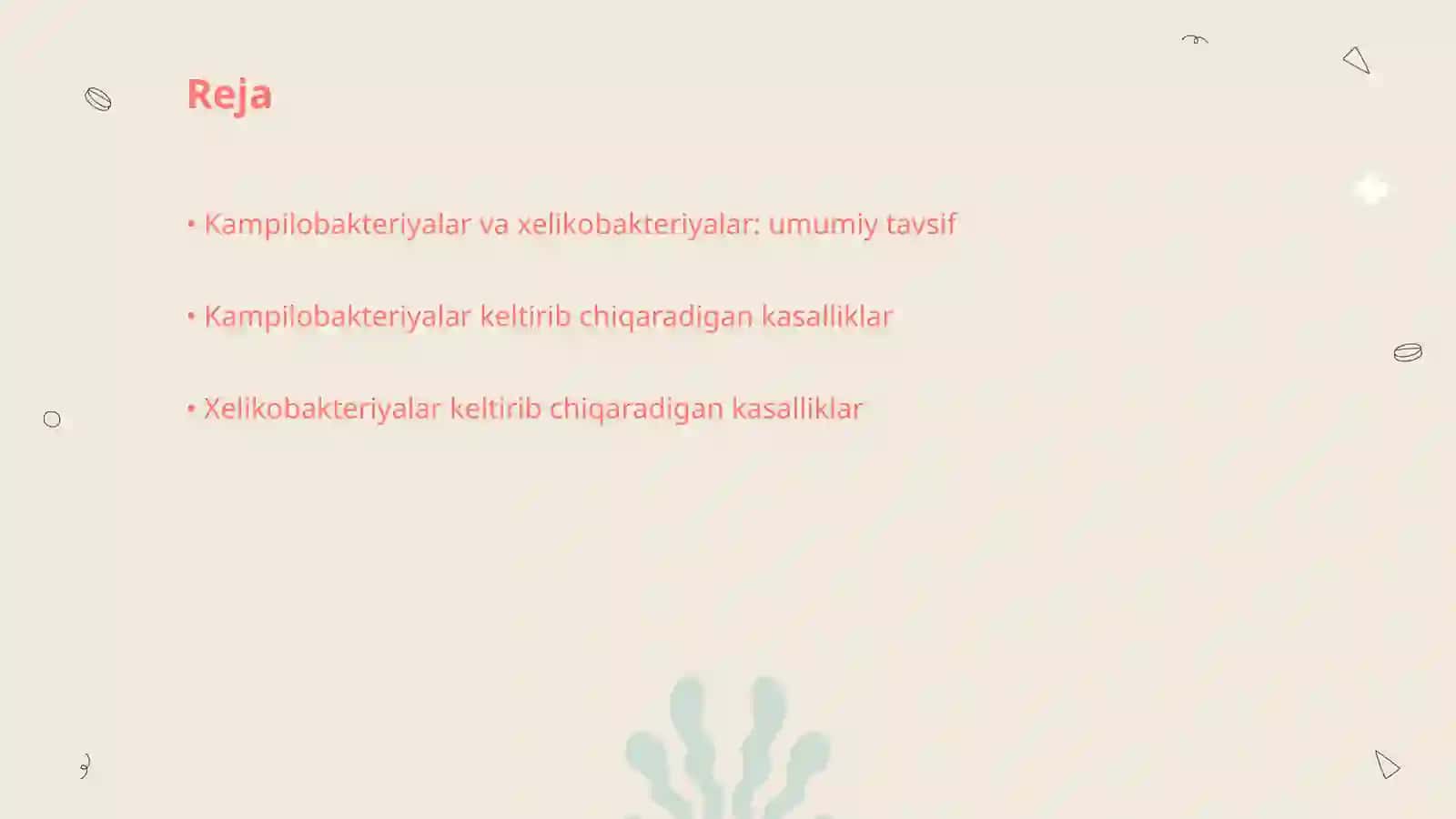 Kampilobakteriyalar va Xelikobakteriyalar 2