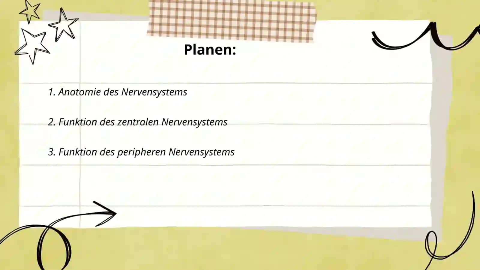 Nerven system 2