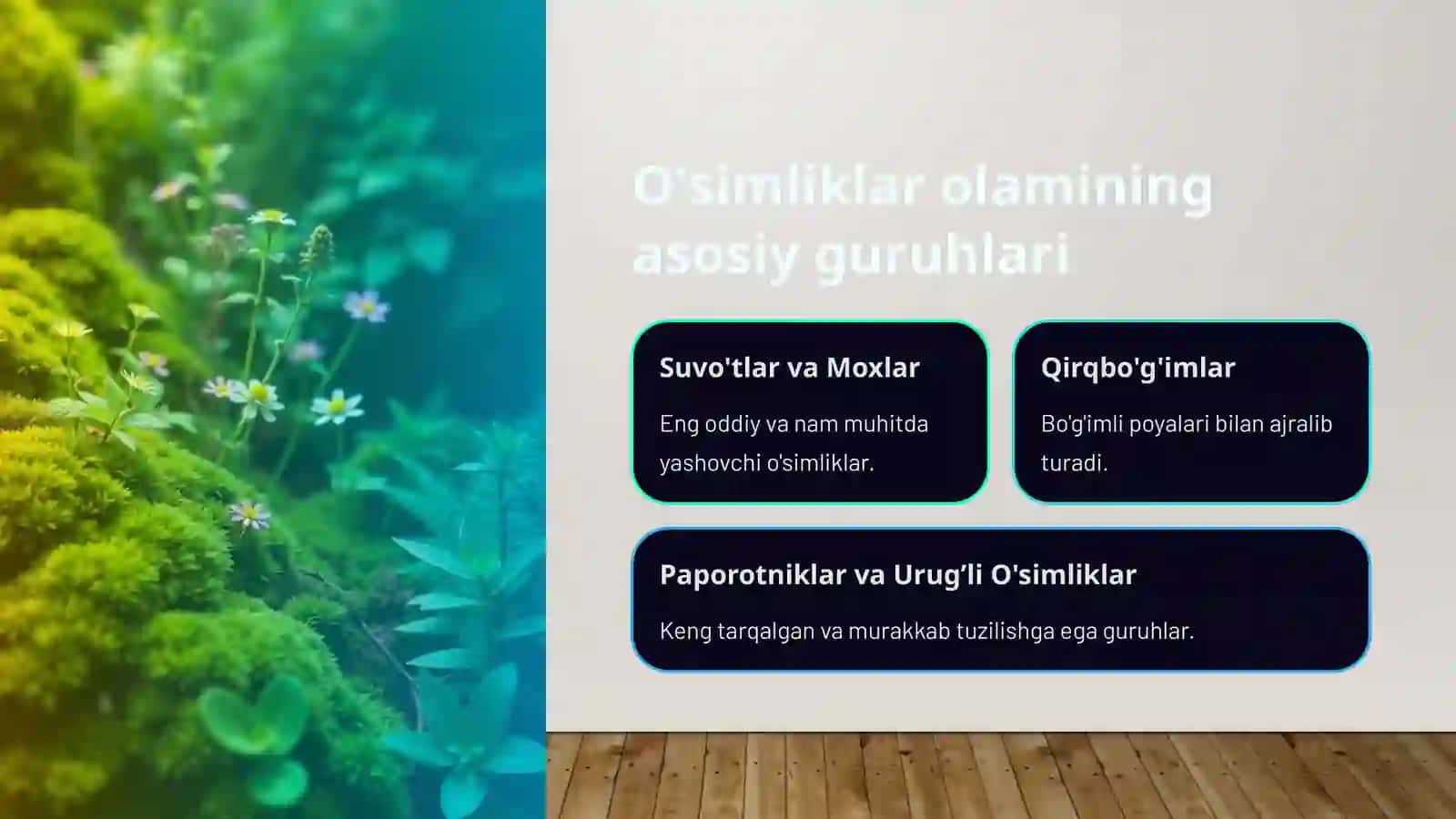 O'simliklarning xilma-xilligi va ahamiyati 2