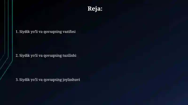 Siydik yo'lining qon ta'minoti va nervlar 2