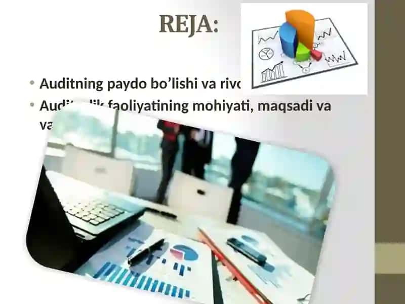 Ichkiaudit faoliyati ko‘lami 2