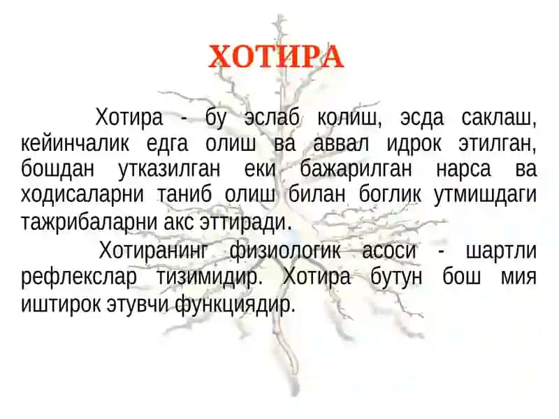 Психиатрия 2