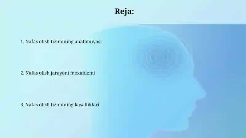 Nafas olish sisetmasi 2