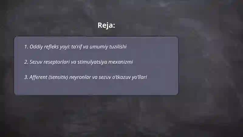 Oddiy refleks yoyi: taʼrif va umumiy tuzilishi 2