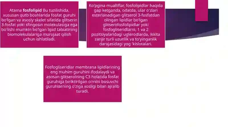Fosfolipidlar: xususiyatlari, tuzilishi, funktsiyalari, turlari 2