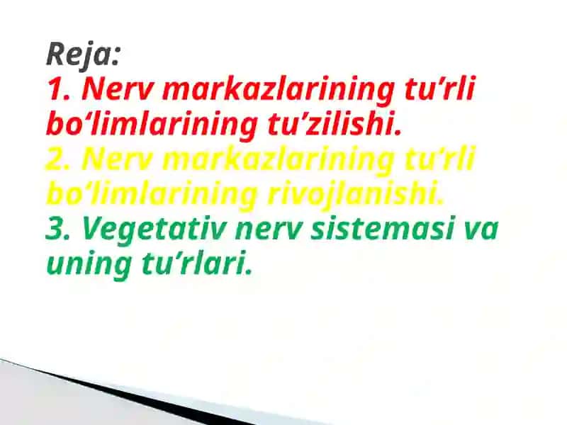 Nervmarkazlarning turli bo‘limlari 2