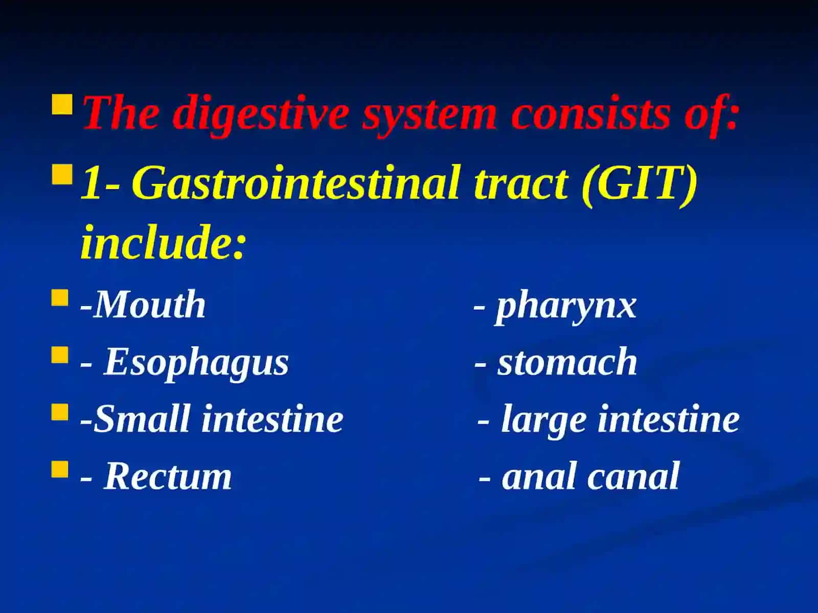 Digestive System 2