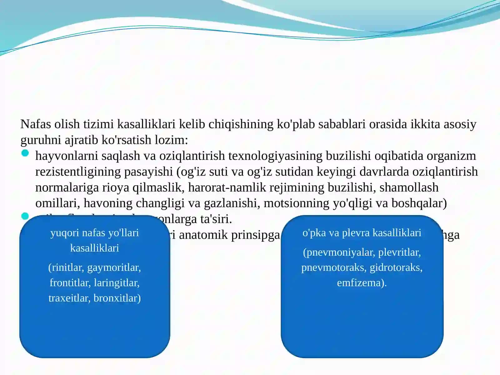 Hayvonlarda nafas yo'llari kasalliklari 2