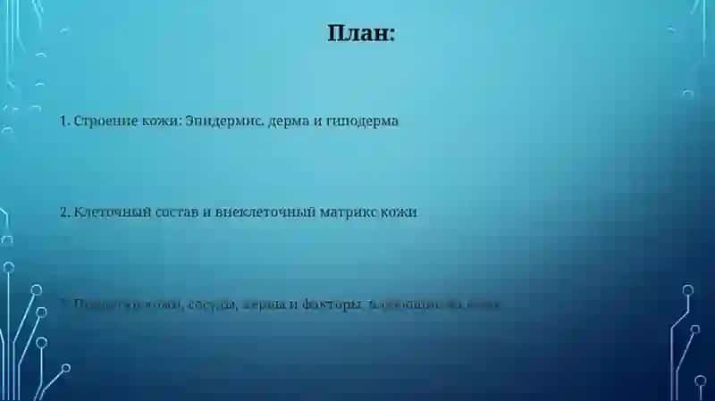 Презентация: Строение и состав кожи 2