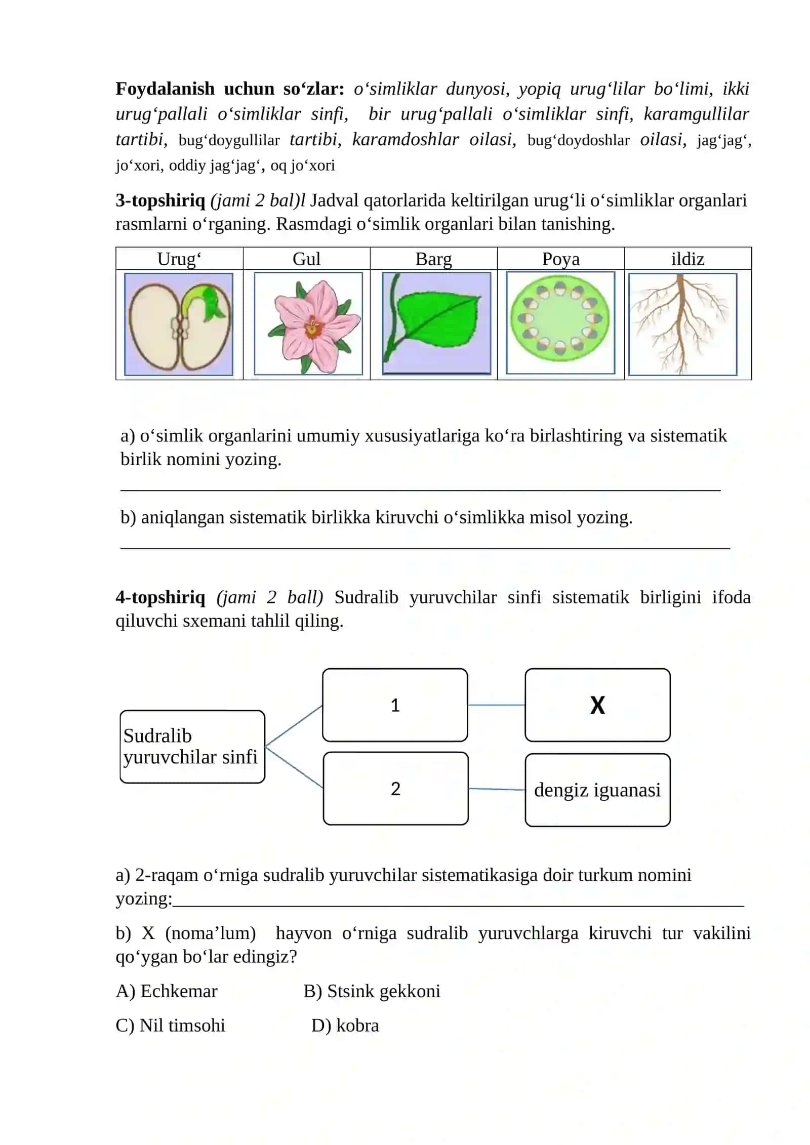 Biologiya fanini o‘zlashtirish testi 2