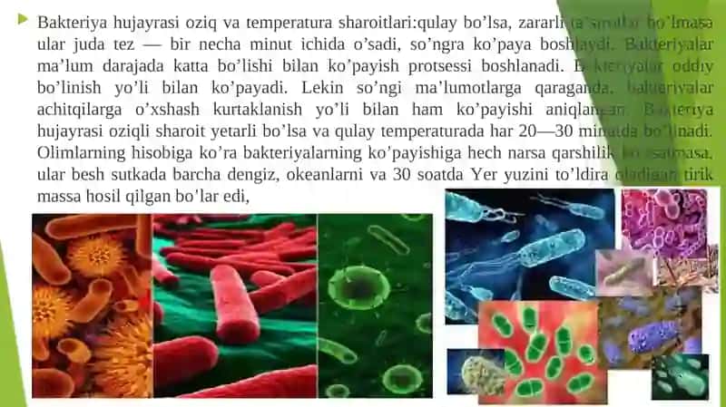 Mikroorganizmlar o’sishi va  ko’payishi, mikroorganizmlarning nur sochishi va xushbo’y hid ajratishi. 2
