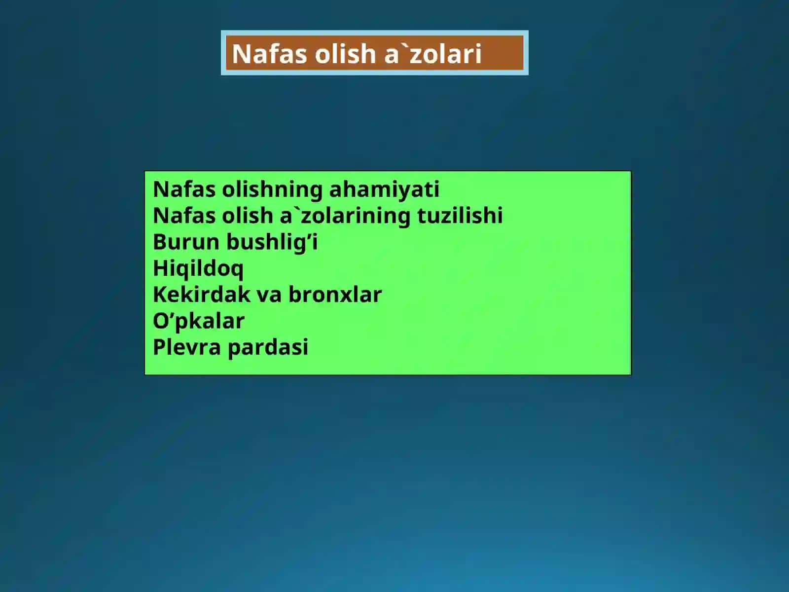 Nafas tizimi 2