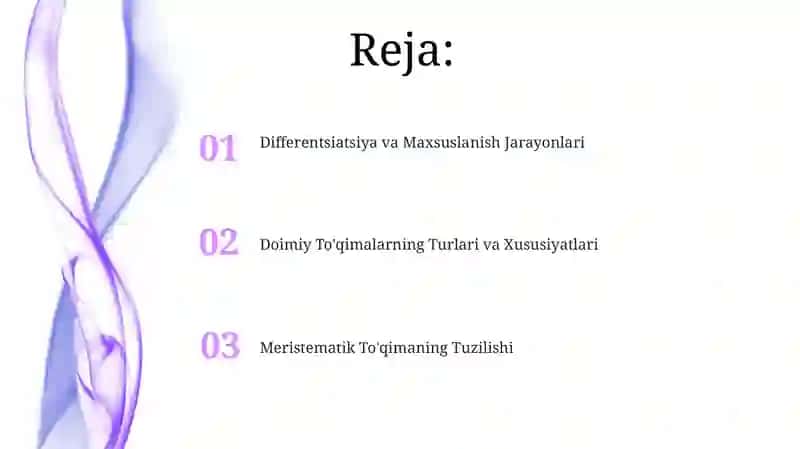 Meristematik to'qimani doimiy to'qimga aylanishi 2