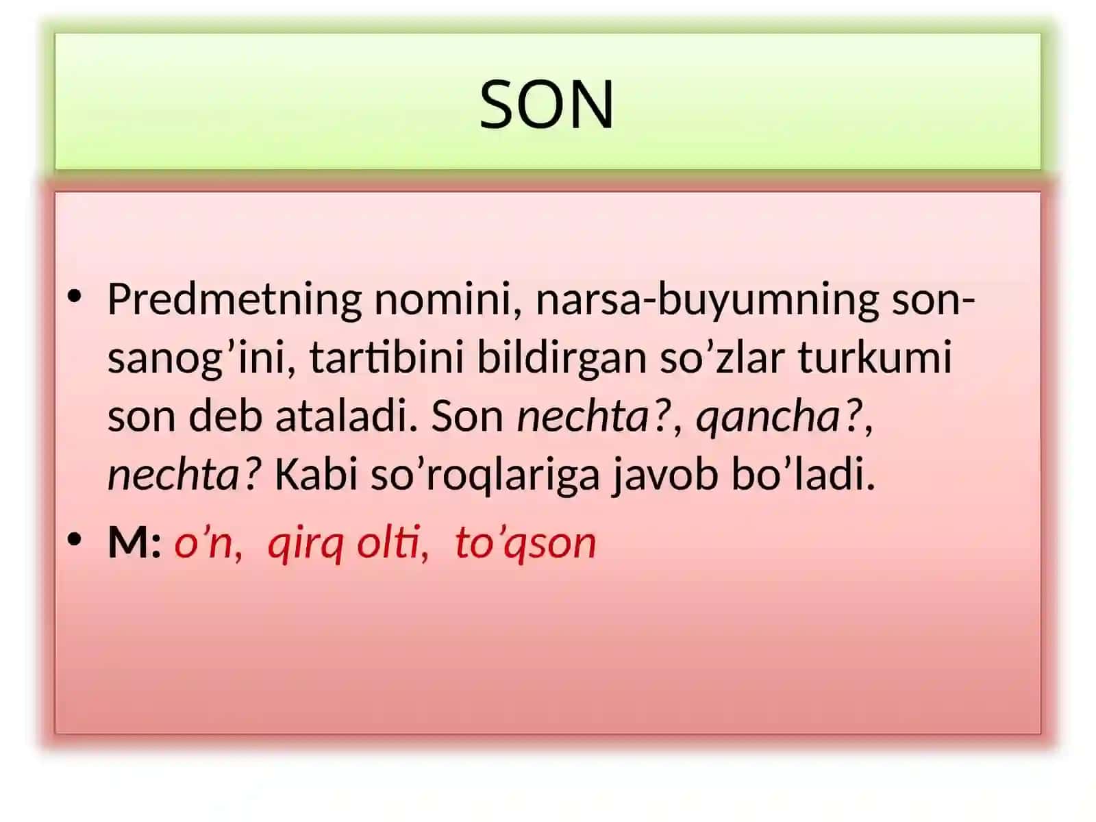 Mahamudova Nodira - Pedagogika fakulteti 2