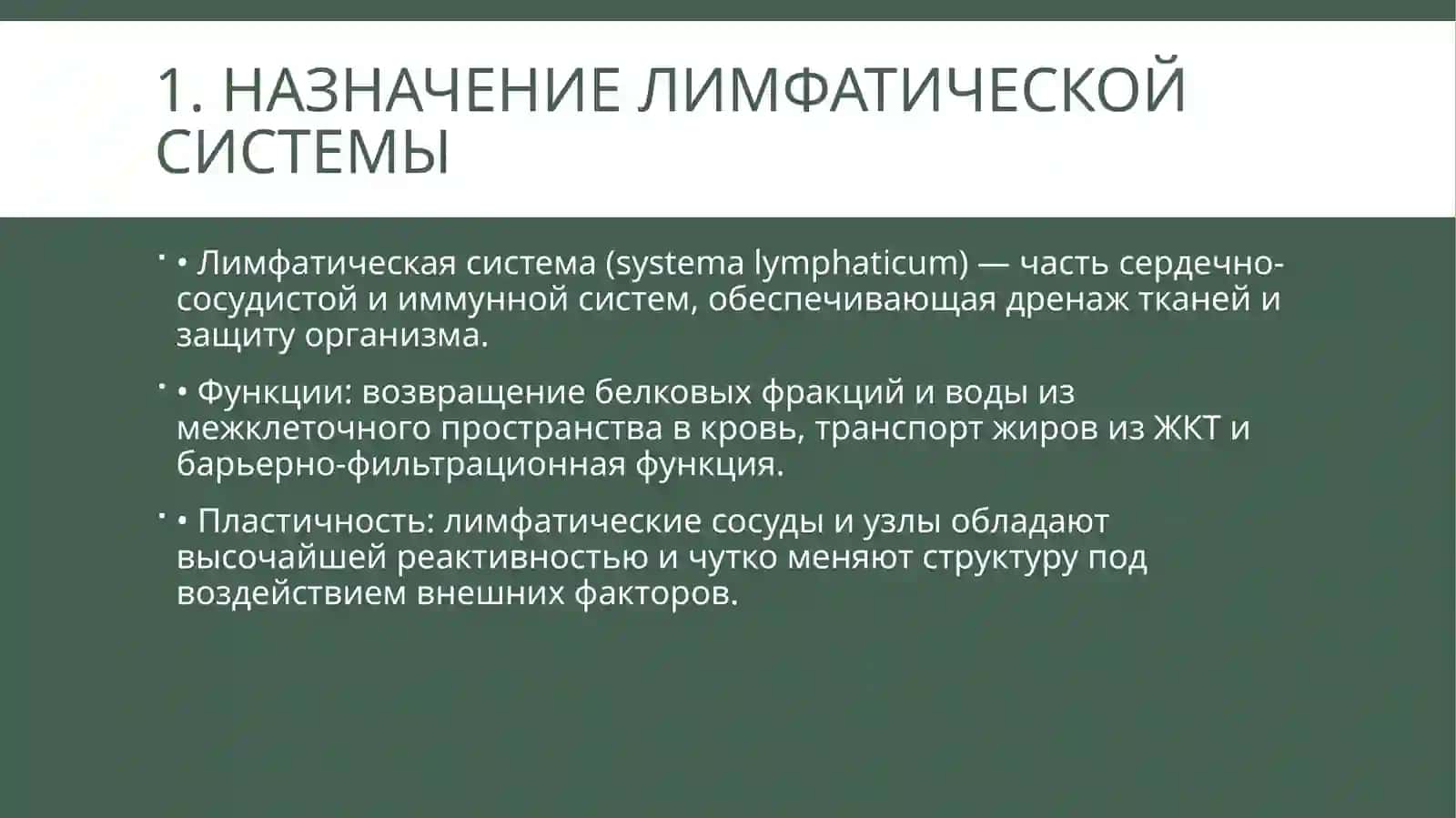 Презентация: Влияние социальной и биологической среды на развитие и структуру лимфатических сосудов(15слайдов, PPTX) 2