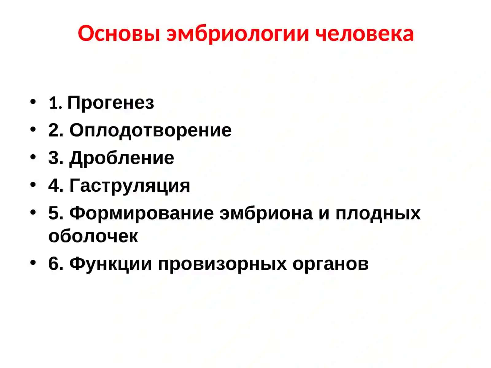 Эмбриология человека 2