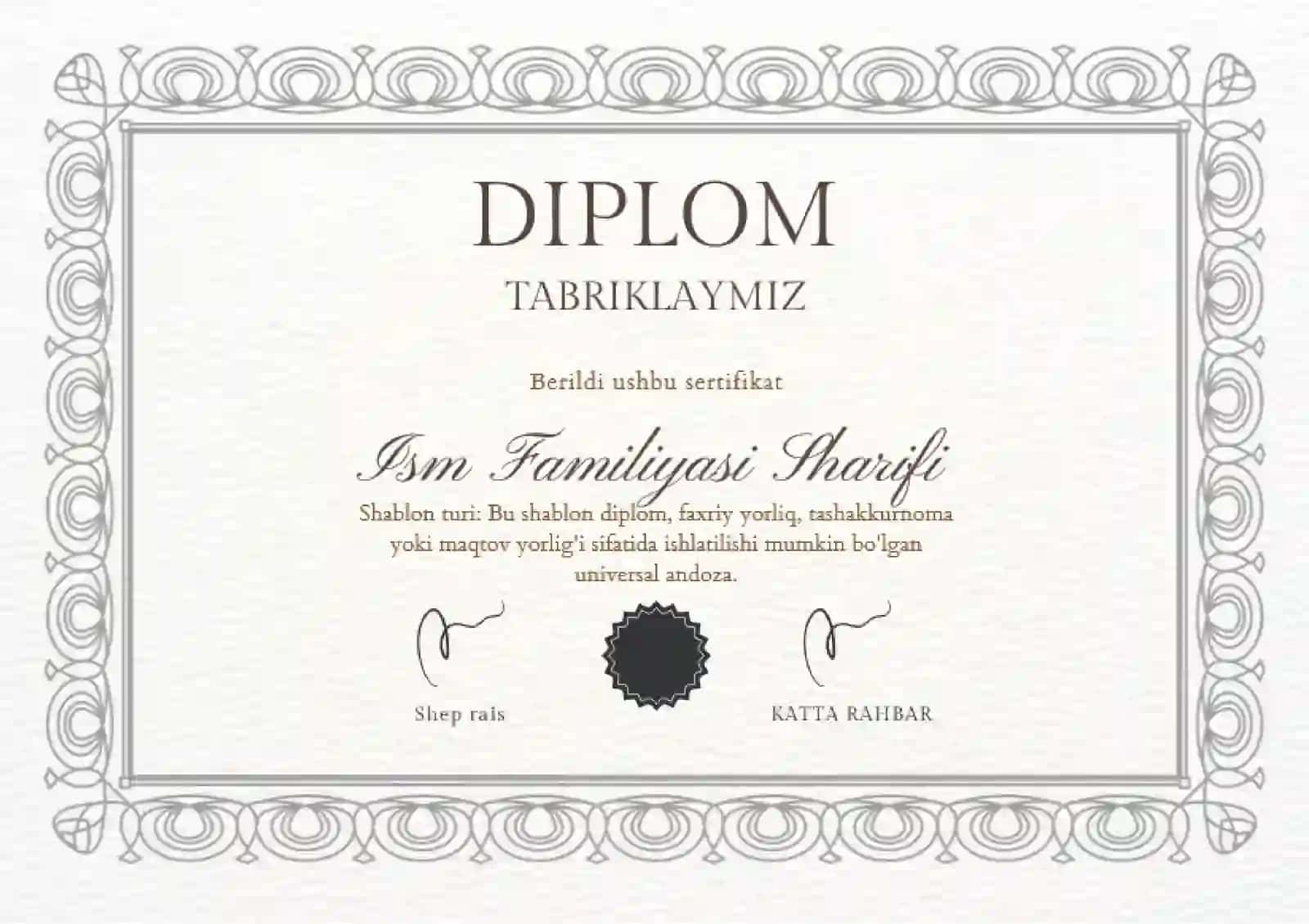DIPLOM 2
