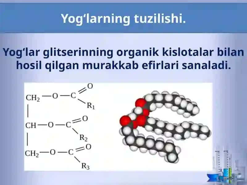Yog’lar.Olinishivaxossalari 2