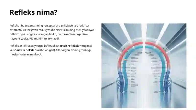 Reflektor Yoy Anatomiyasi 2