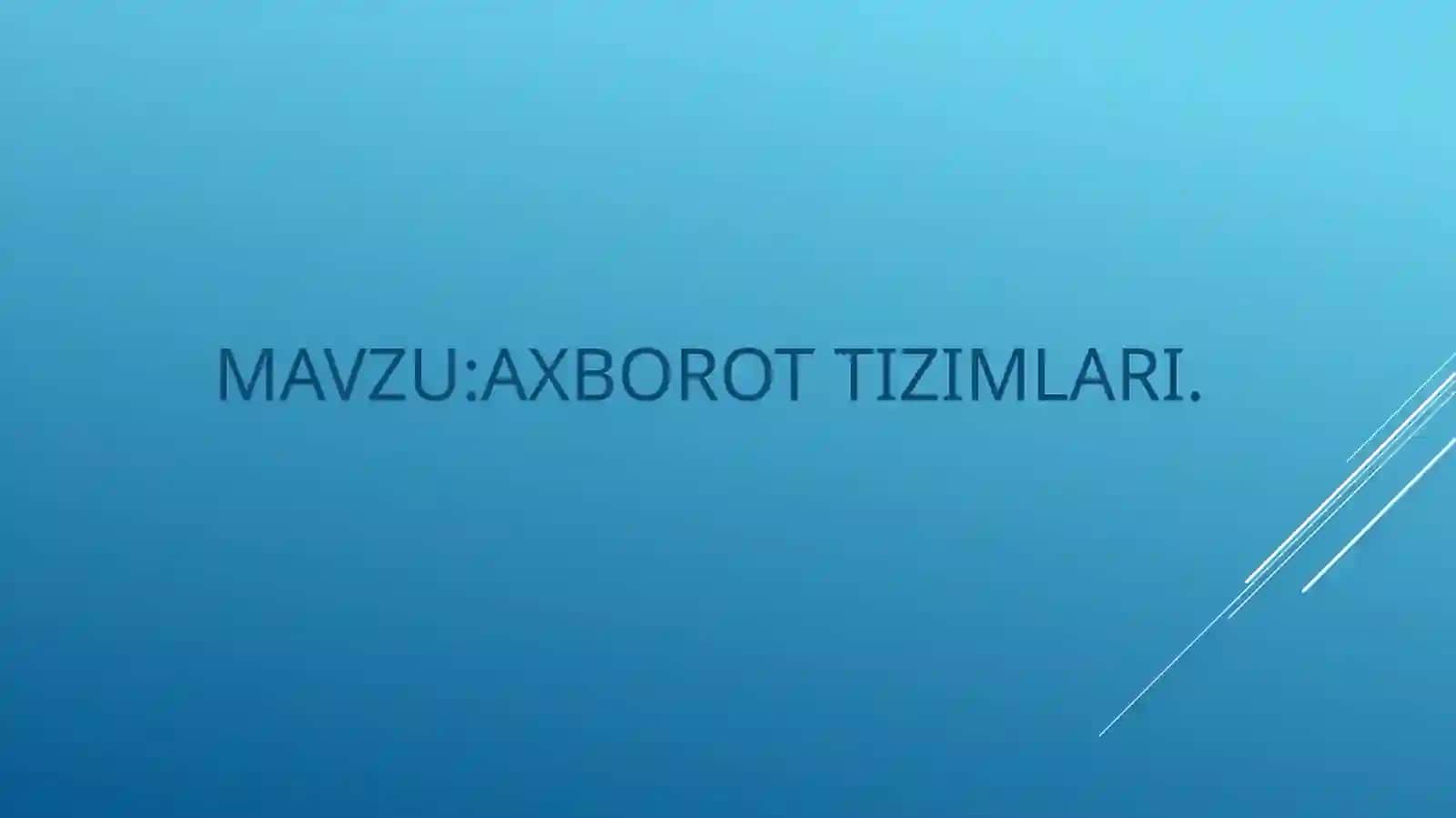 Axborot tizimlari 2