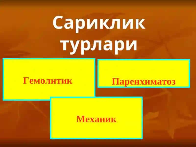 Механиксариклик 2