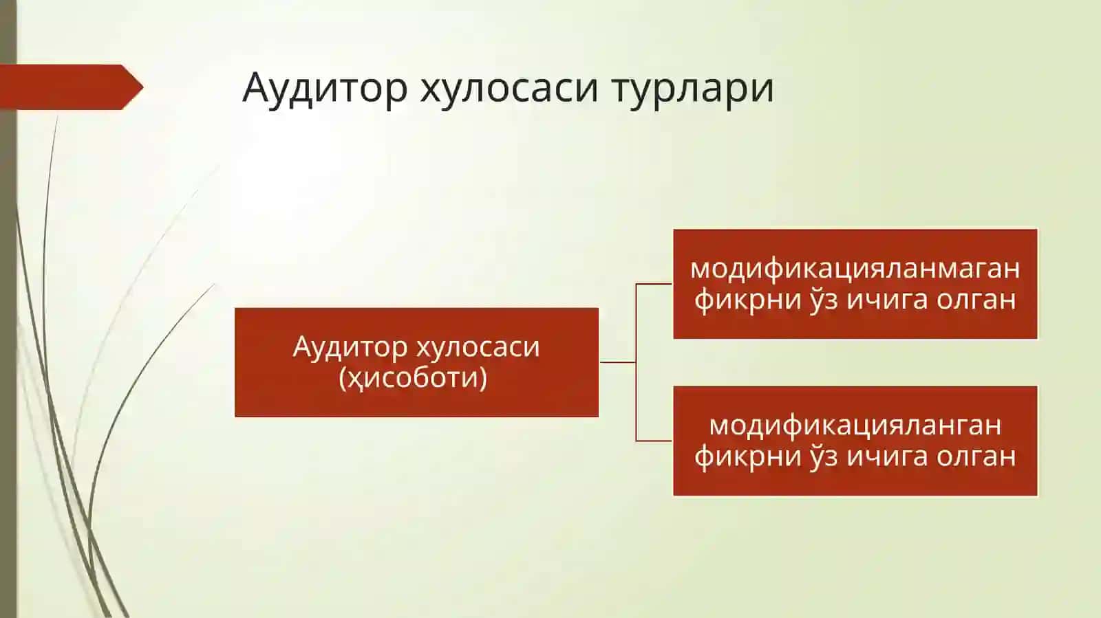 Аудитор хулосаси (ҳисоботи) 2