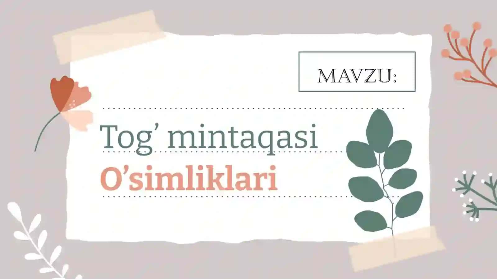 O’simliklar qoplami 2