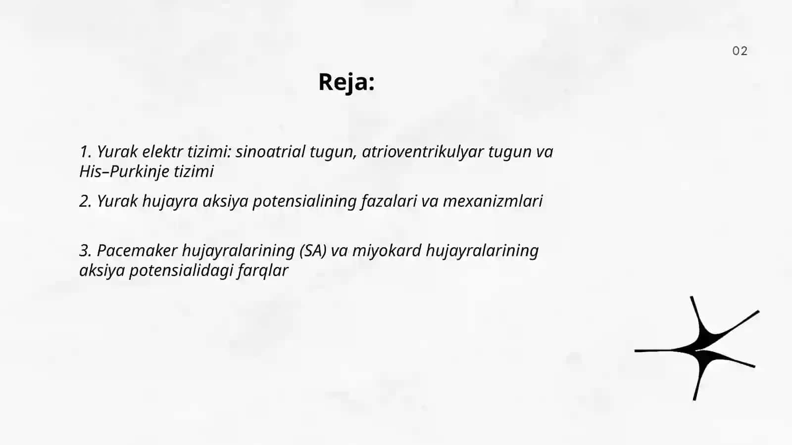 Yurak elektr tizimi 2