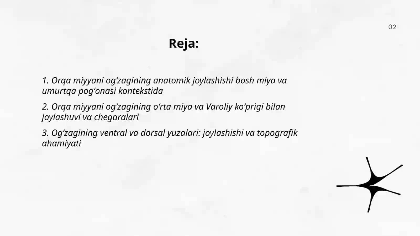 Orqa miyyani ogʻzagining anatomik joylashishi bosh miya va umurtqa pogʻonasi kontekstida 2