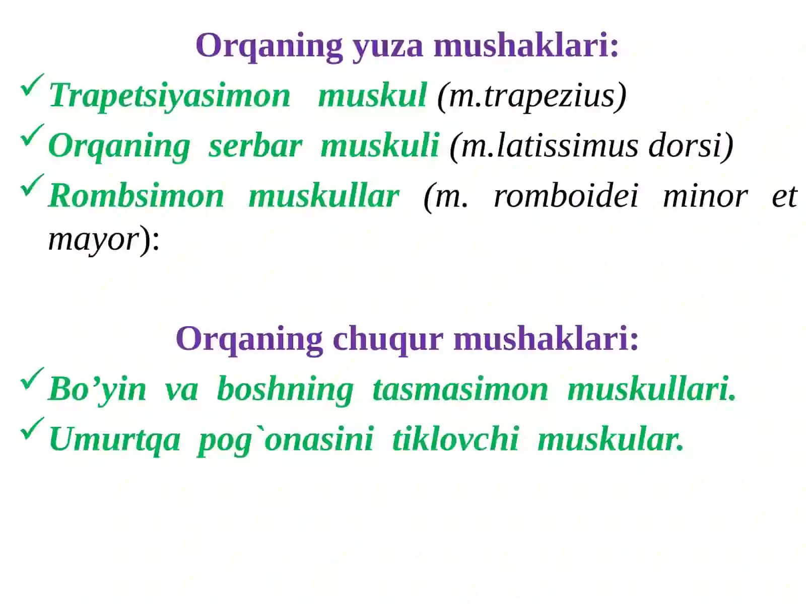 Miologiya. Gavda muskullari. Tananing orqamushaklari 2