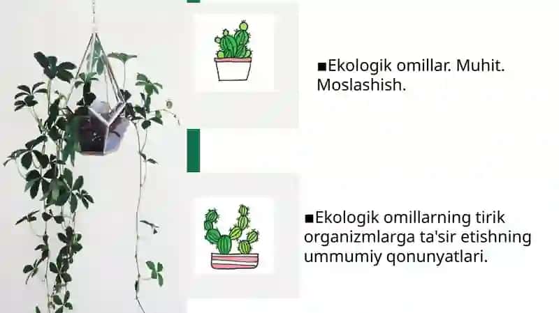 Turli ekologik omillarning tirik organizmlarga  ta’sir etish mexanizmlari 2