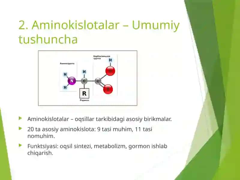 Aminokislotalar 2