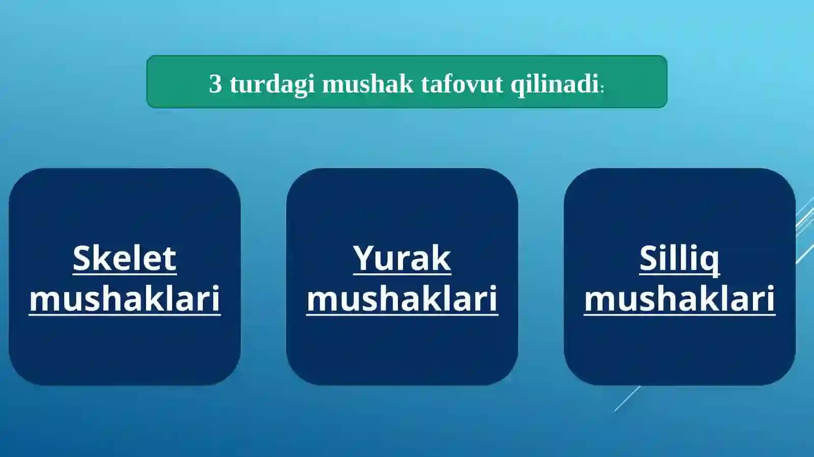 Mushakto’qimasi 2