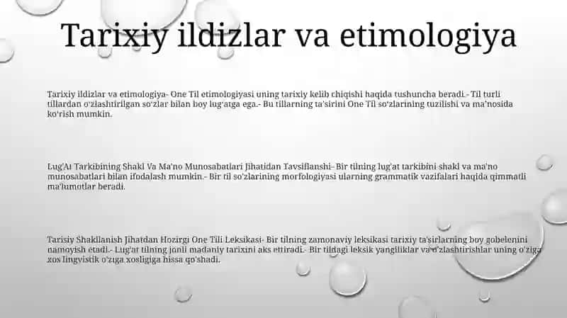 Lug'At Tarkibining Shakl Va Ma'No Munosabatlari Jihatidan Tavsiflanishi 2