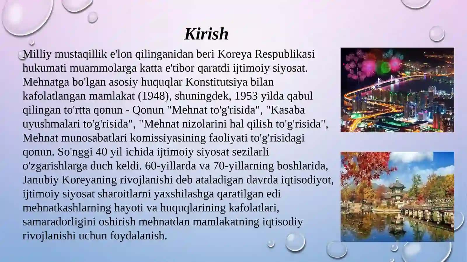 Janubiy Koreya davlati va uning ijtimoiy siyosati 2