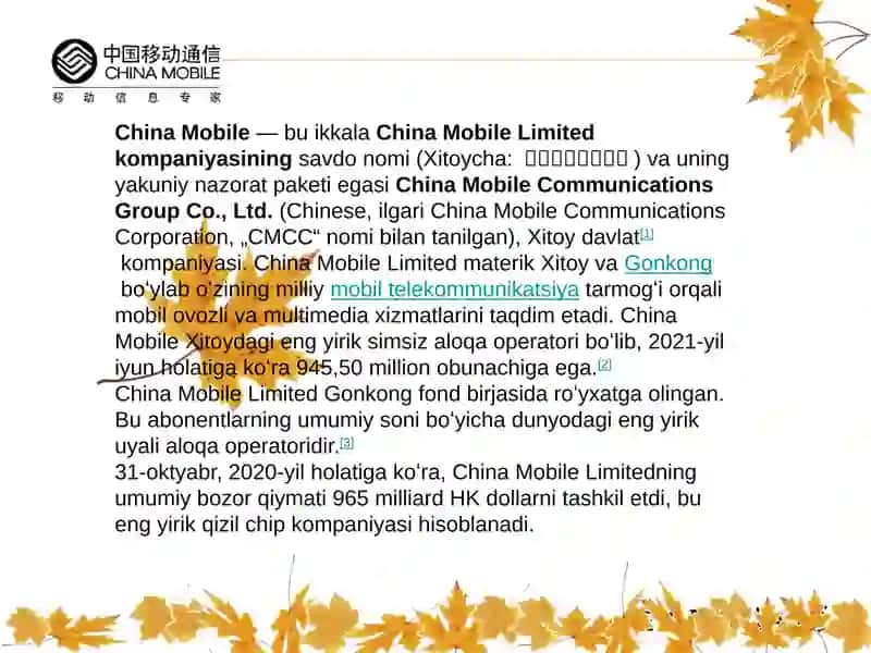 CHINA MOBILE KOMPANIYASI 2