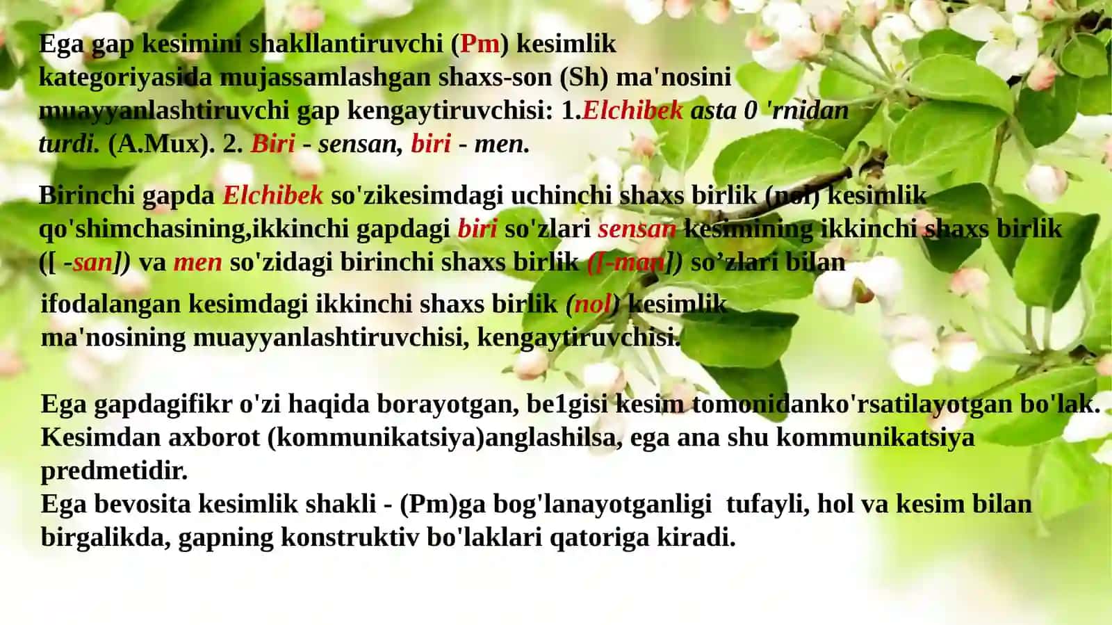 Ega va uning ifodalanishi 2