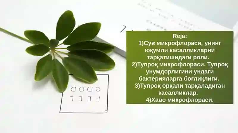 Mikroorganizmlarning ekologiyasi 2